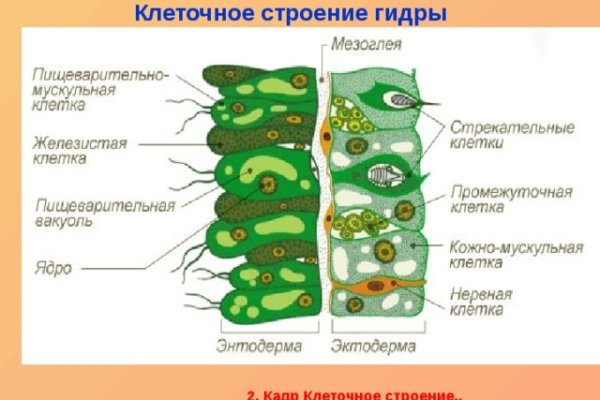 Кракен онион зеркало
