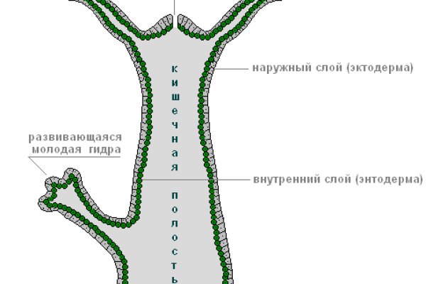 Ссылка на кракен 2krnmarket